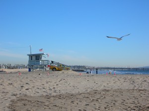 Venice Beach, Los Angeles