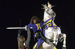 Medieval Times Dinner and Tournament with Transport