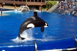 Multi-Day Trip from Anaheim to San Diego and Admission to SeaWorld